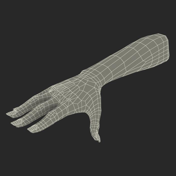 3D Female Hand 2 model