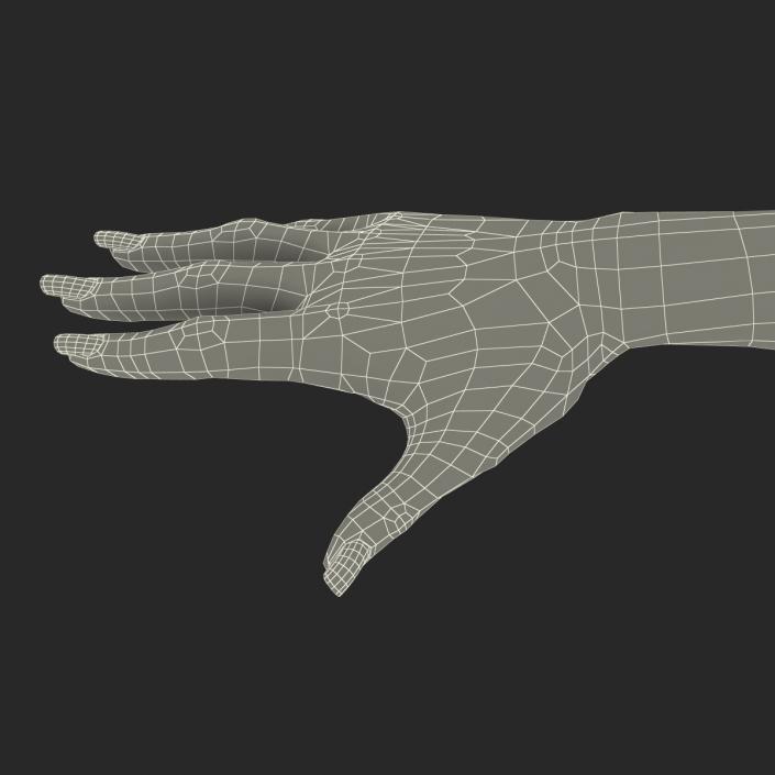 3D Female Hand 2 model