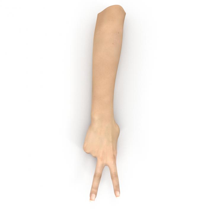 3D model Female Hand 3 Pose 2