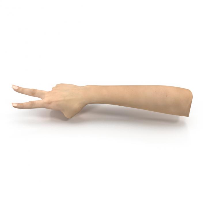 3D model Female Hand 3 Pose 2