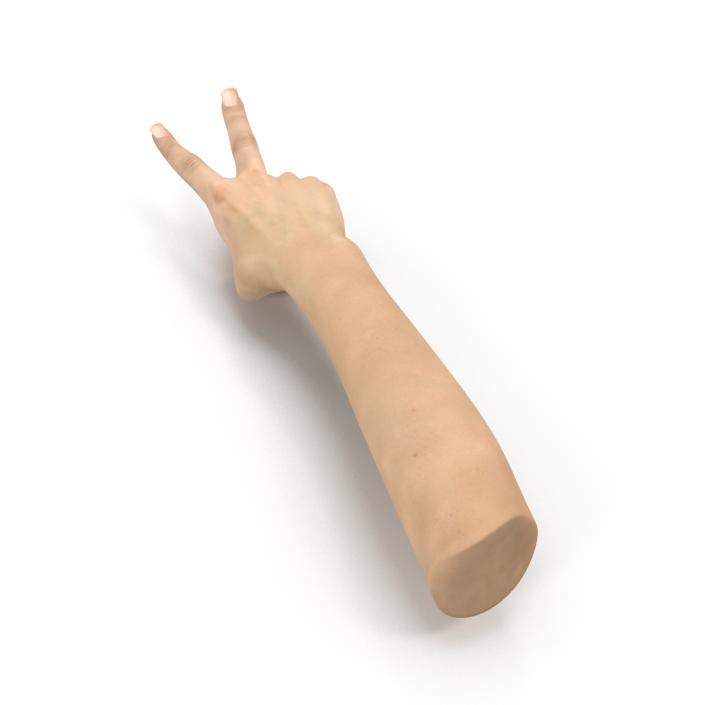 3D model Female Hand 3 Pose 2