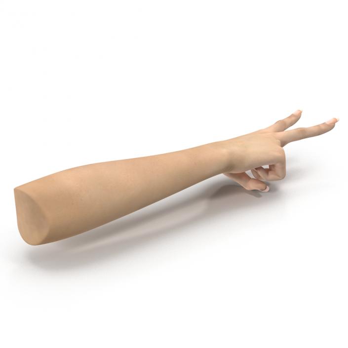 3D model Female Hand 3 Pose 2