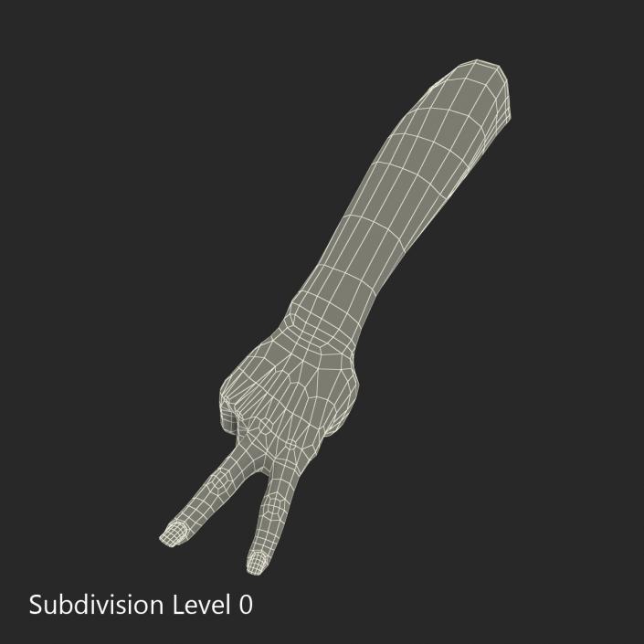 3D model Female Hand 3 Pose 2