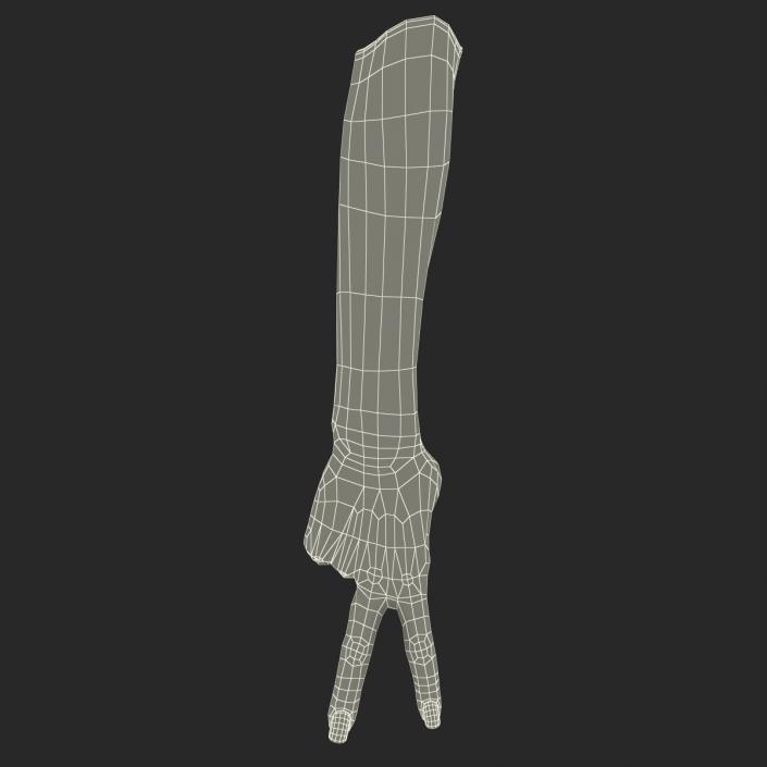 3D model Female Hand 3 Pose 2