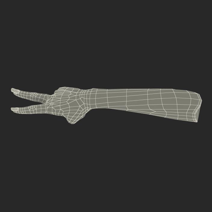 3D model Female Hand 3 Pose 2