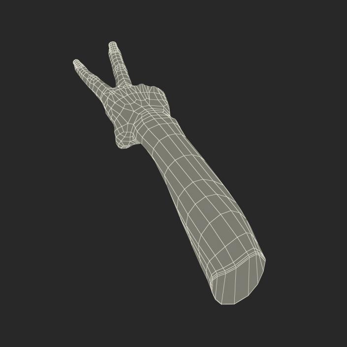 3D model Female Hand 3 Pose 2