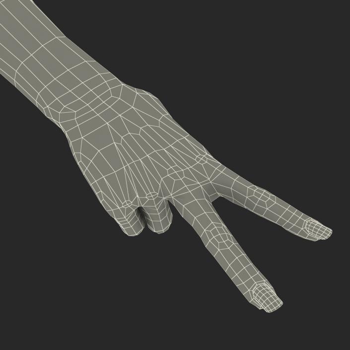 3D model Female Hand 3 Pose 2