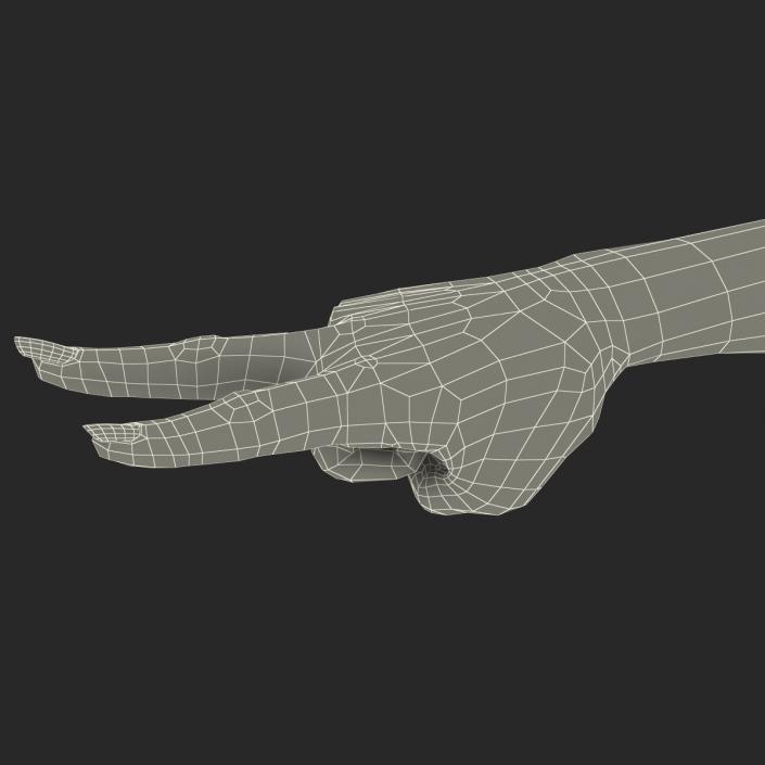 3D model Female Hand 3 Pose 2