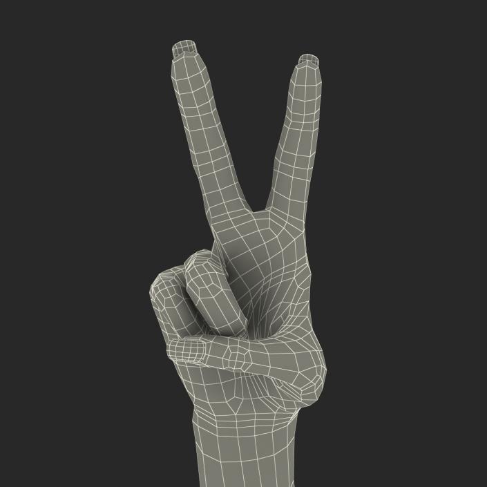 3D model Female Hand 3 Pose 2