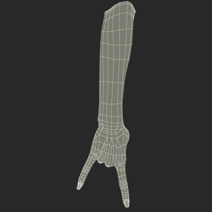 3D model Female Hand 3 Pose 3