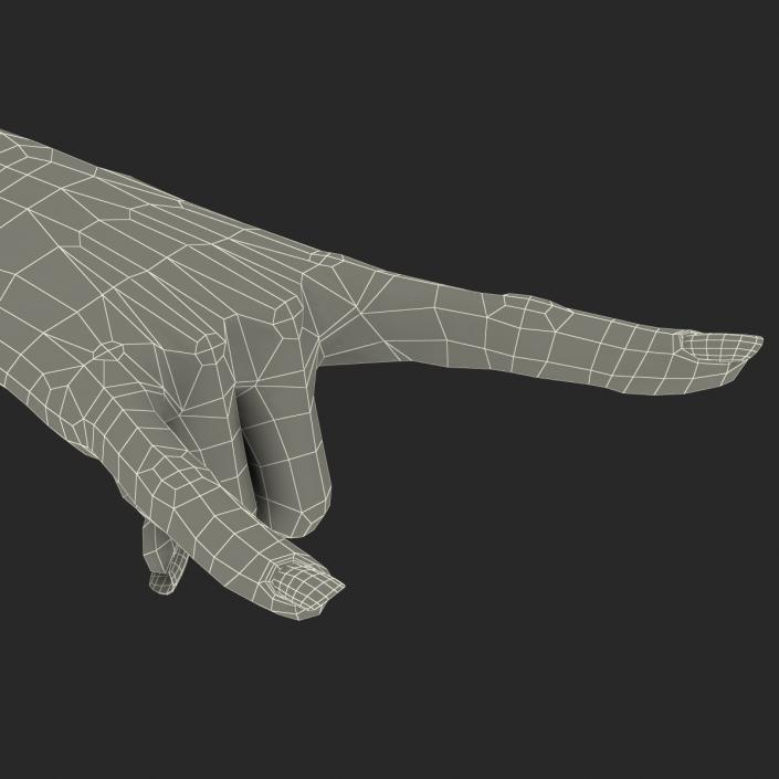 3D model Female Hand 3 Pose 3