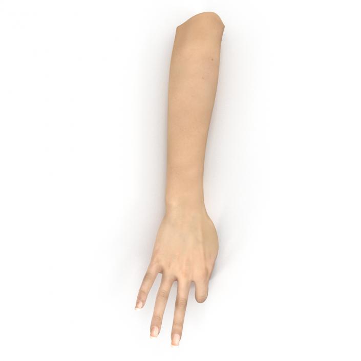 3D model Female Hand 3 Pose 4