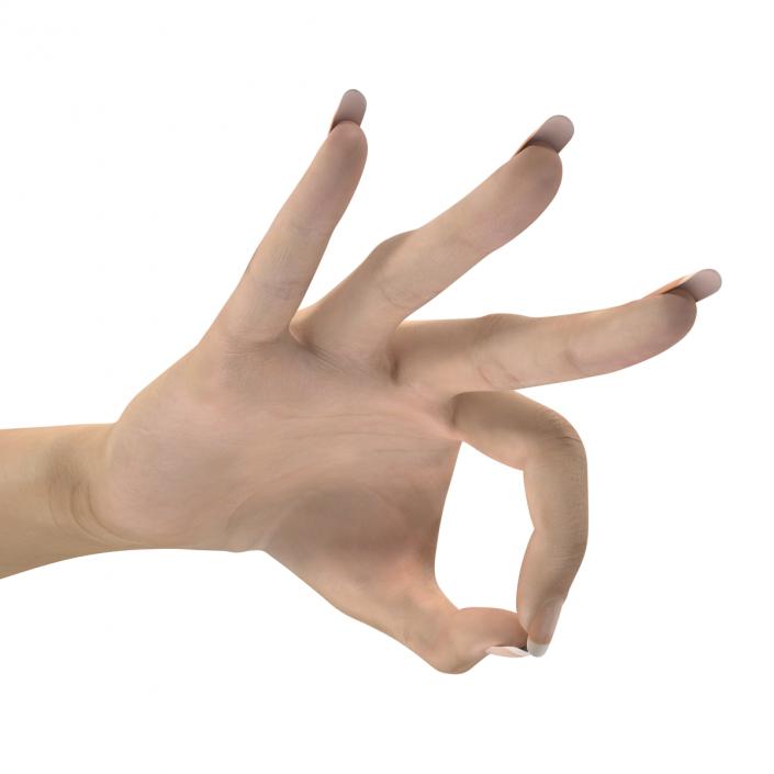 3D model Female Hand 3 Pose 4