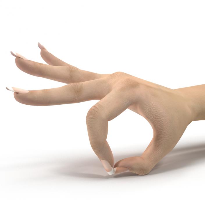 3D model Female Hand 3 Pose 4