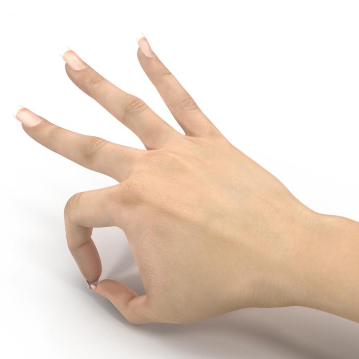 3D model Female Hand 3 Pose 4