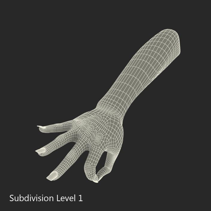 3D model Female Hand 3 Pose 4