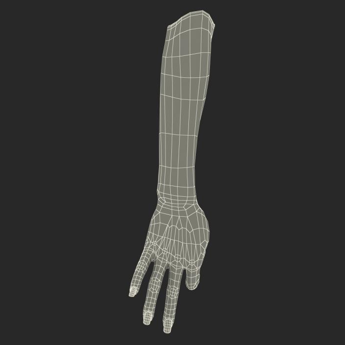 3D model Female Hand 3 Pose 4