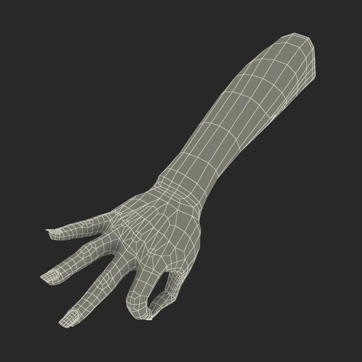 3D model Female Hand 3 Pose 4