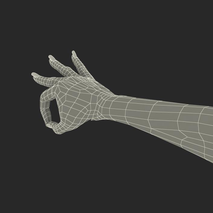 3D model Female Hand 3 Pose 4