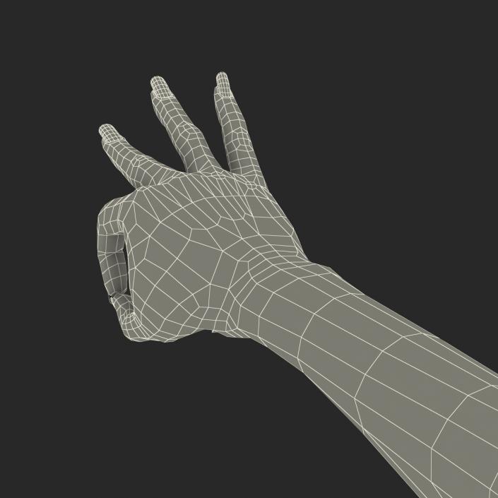 3D model Female Hand 3 Pose 4