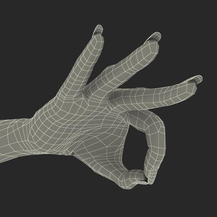 3D model Female Hand 3 Pose 4