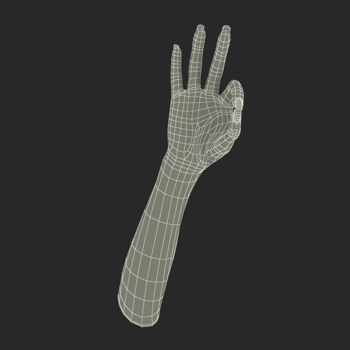 3D model Female Hand 3 Pose 4