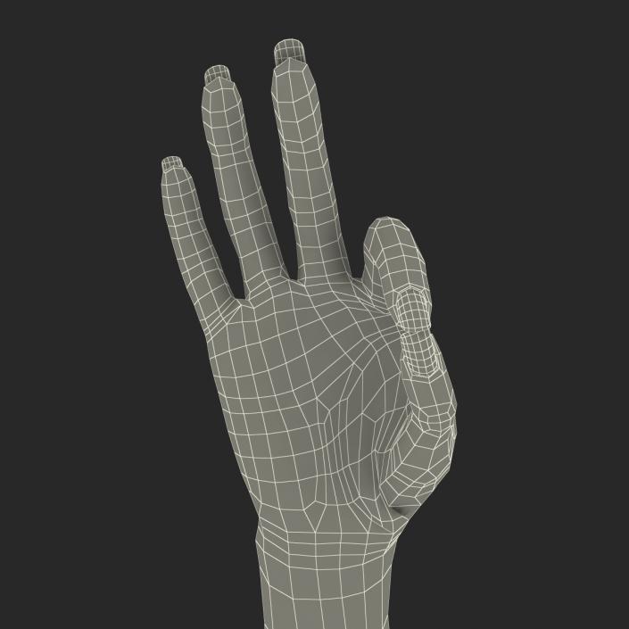 3D model Female Hand 3 Pose 4