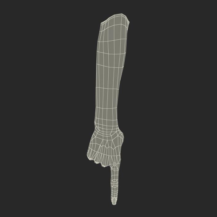 3D model Female Hand 3 Pose 5