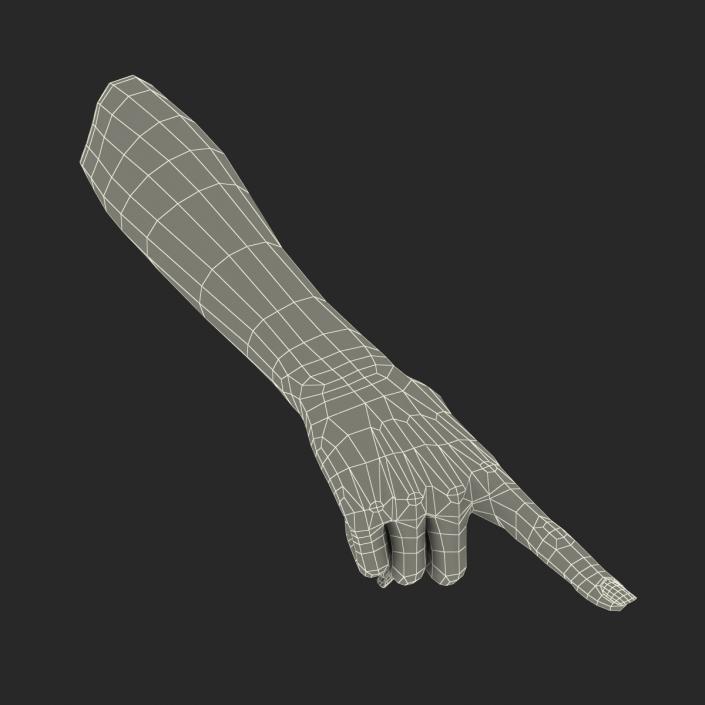 3D model Female Hand 3 Pose 5