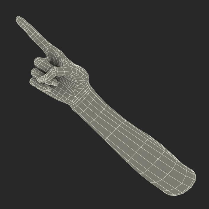 3D model Female Hand 3 Pose 5