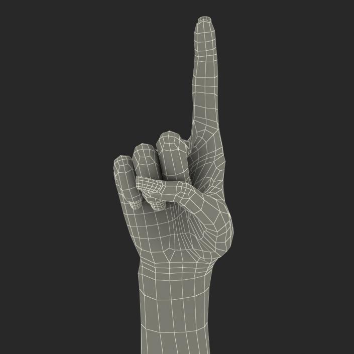 3D model Female Hand 3 Pose 5