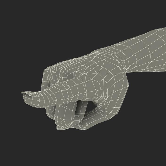 3D model Female Hand 3 Pose 5