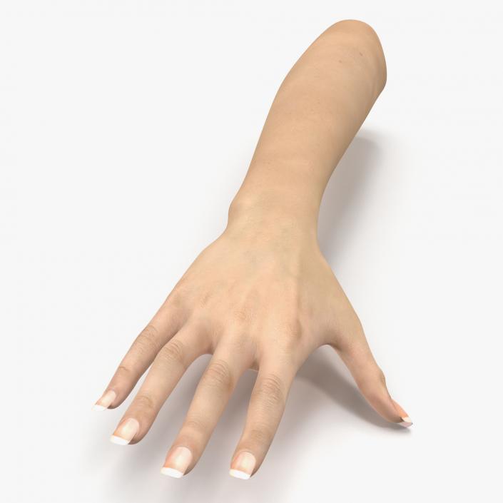 3D Female Hand 3 model