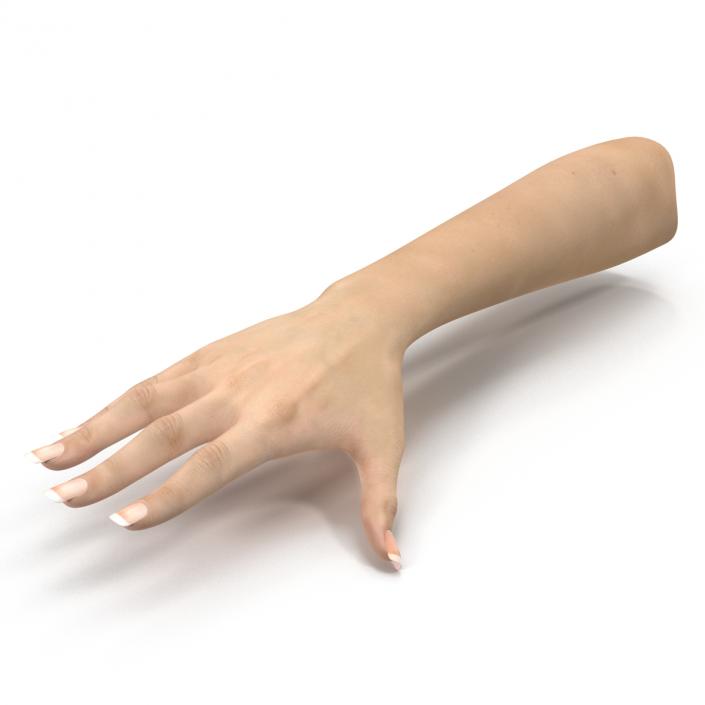 3D Female Hand 3 model