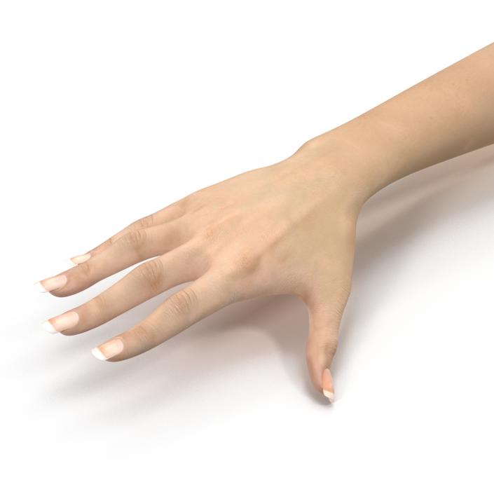 3D Female Hand 3 model