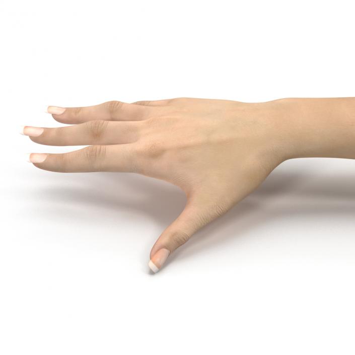 3D Female Hand 3 model