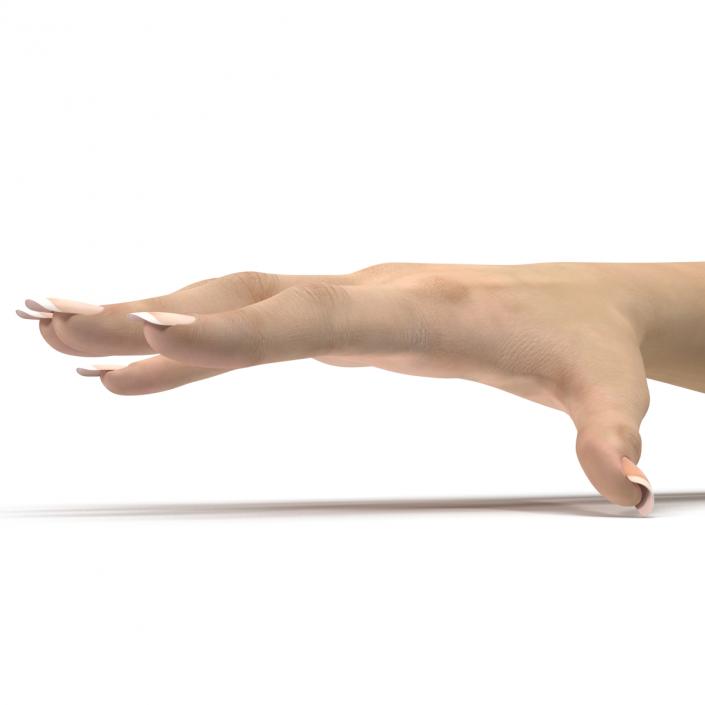 3D Female Hand 3 model