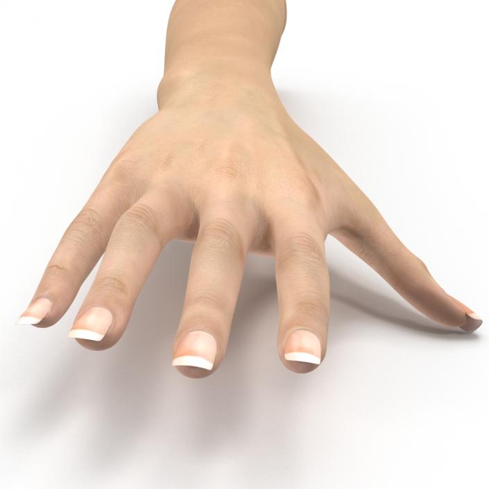 3D Female Hand 3 model