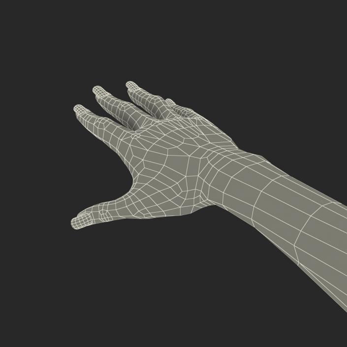 3D Female Hand 3 model