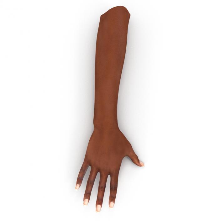 3D Female Hand African American model