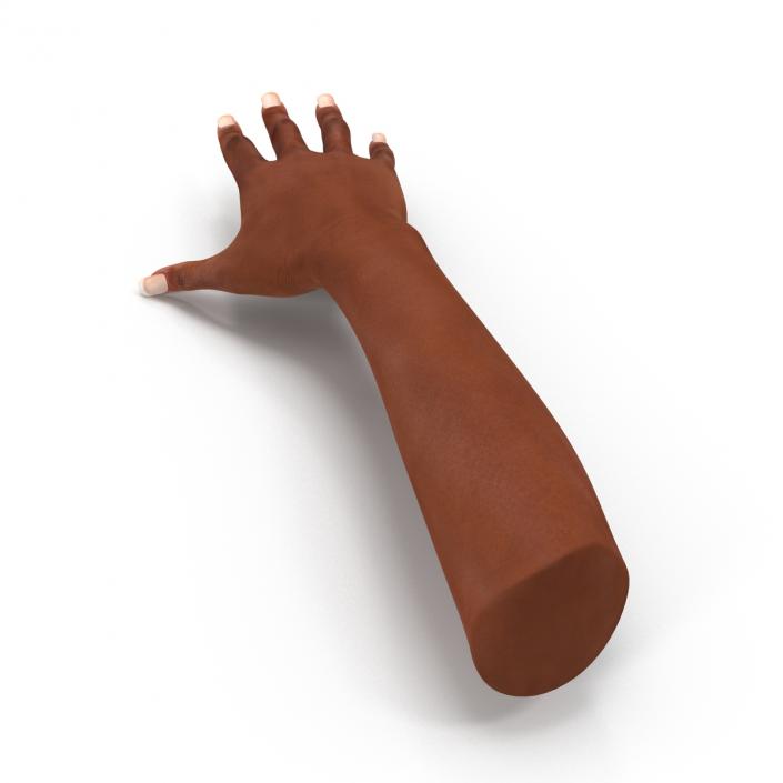 3D Female Hand African American model