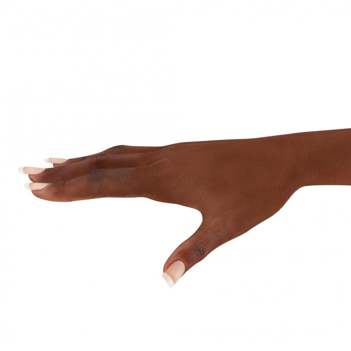 3D Female Hand African American model