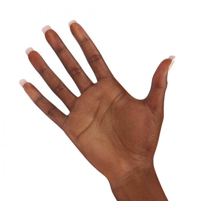 3D Female Hand African American model