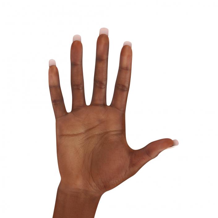 3D Female Hand African American model