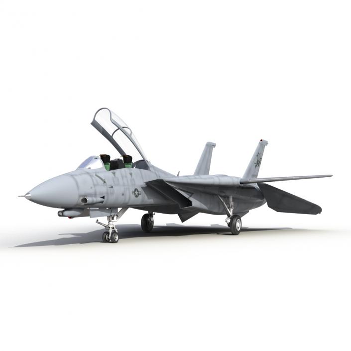 3D model F-14 Tomcat US Combat Aircraft