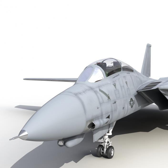 3D model F-14 Tomcat US Combat Aircraft