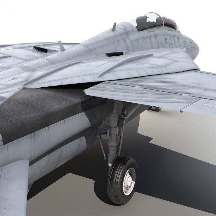 3D model F-14 Tomcat US Combat Aircraft