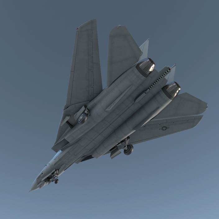 3D model F-14 Tomcat US Combat Aircraft