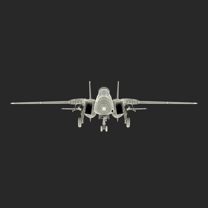 3D model F-14 Tomcat US Combat Aircraft