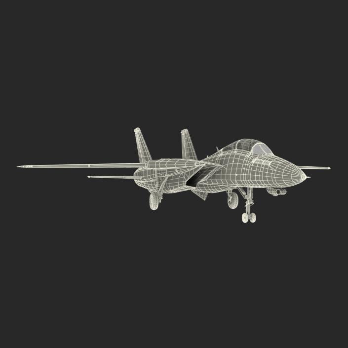 3D model F-14 Tomcat US Combat Aircraft